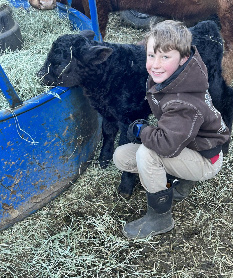 Smiling young boy crouching beside a black calf eating hay