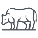 Line icon of a cow standing